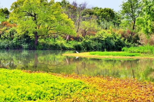 湛江湿地公园规划论证机构