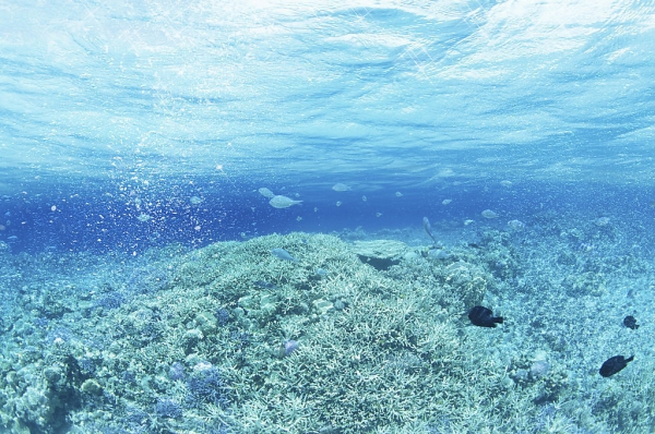 海域生态环境论证评估