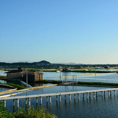 海洋价格评估鉴定